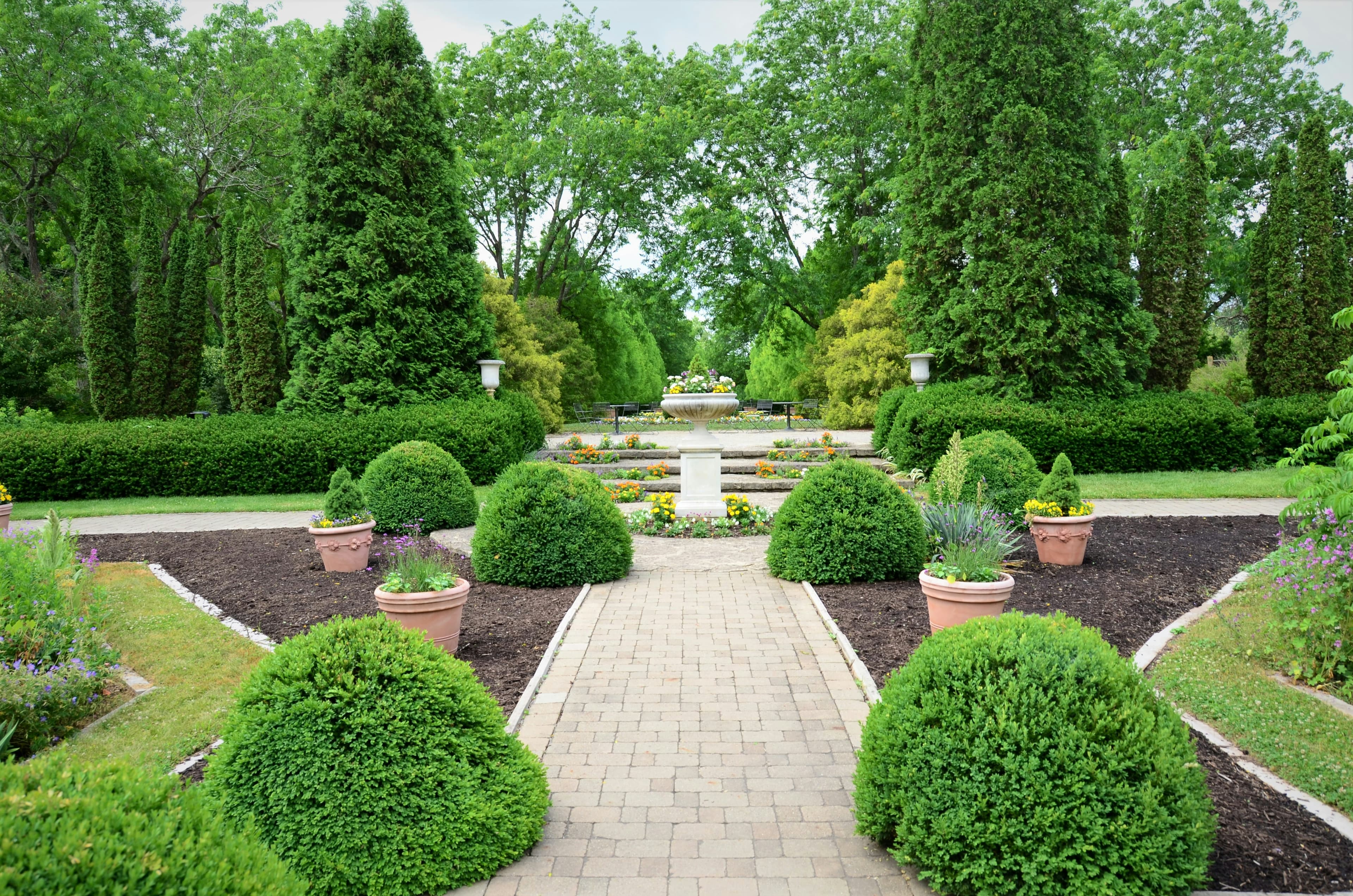 Beautiful lush green lawn in Georgetown TX — Georgetown Lawn Pros
