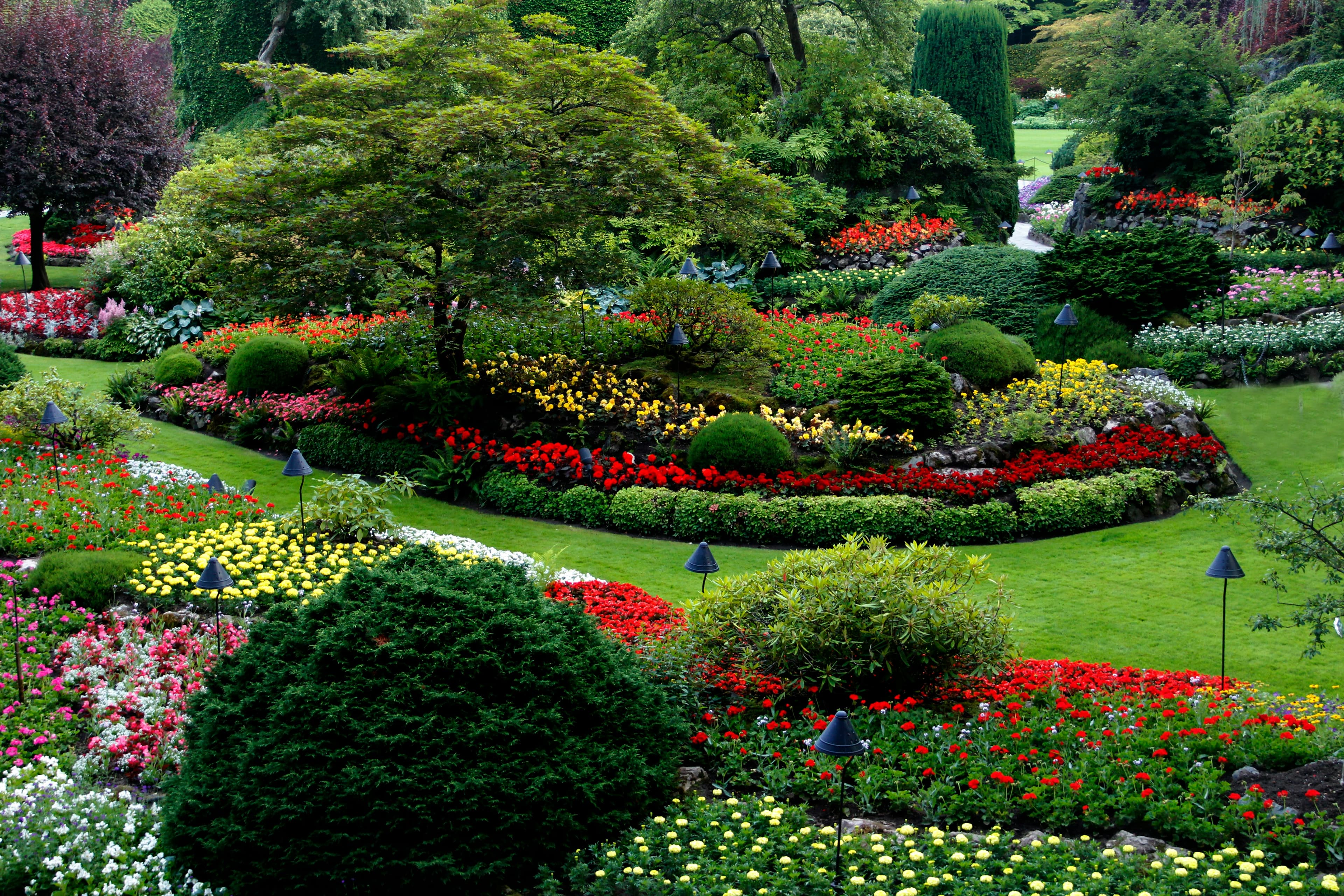 Lush green residential lawn in Georgetown TX — Georgetown Lawn Pros