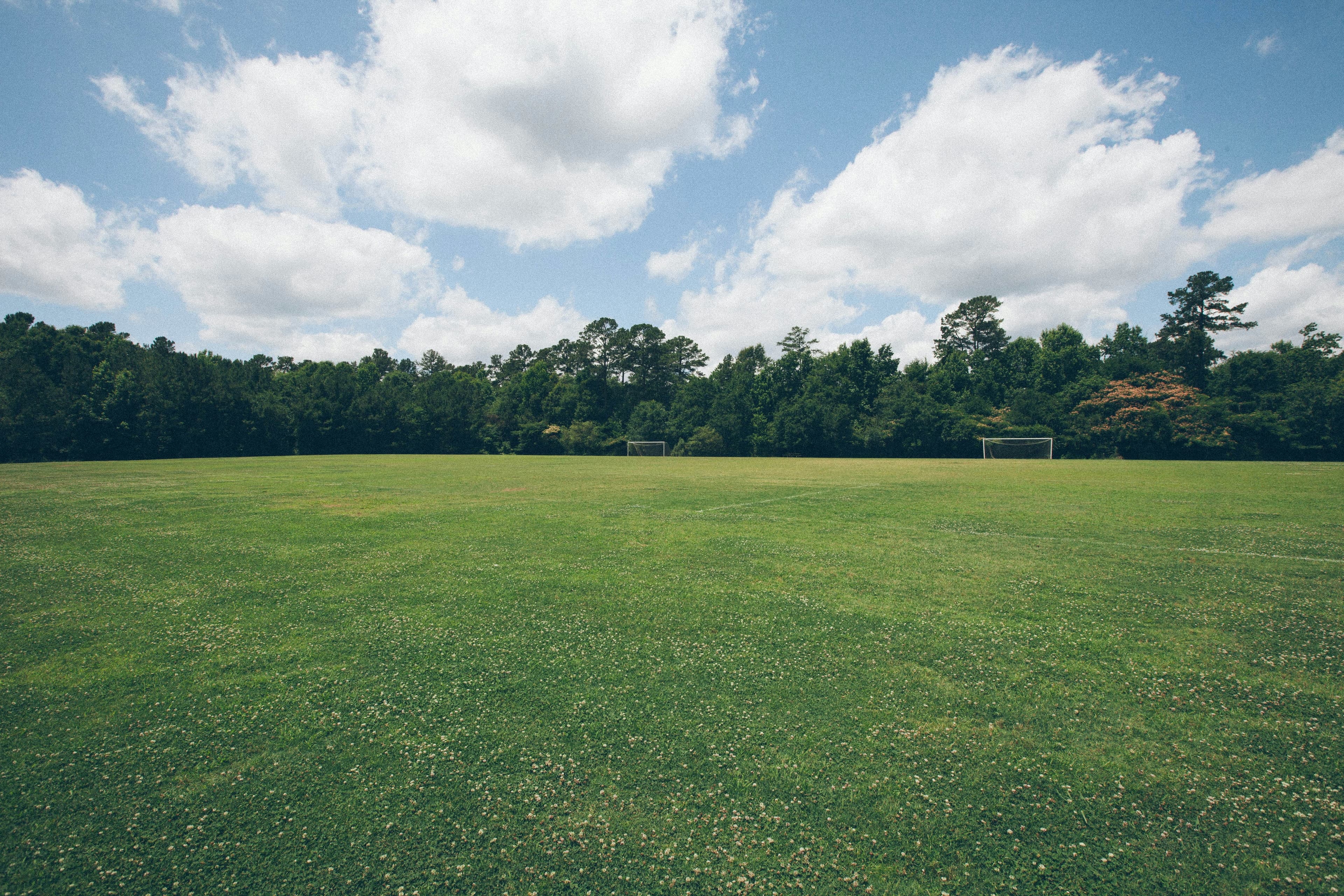 Professional lawn care crew working on a Georgetown TX residential property — Georgetown Lawn Pros