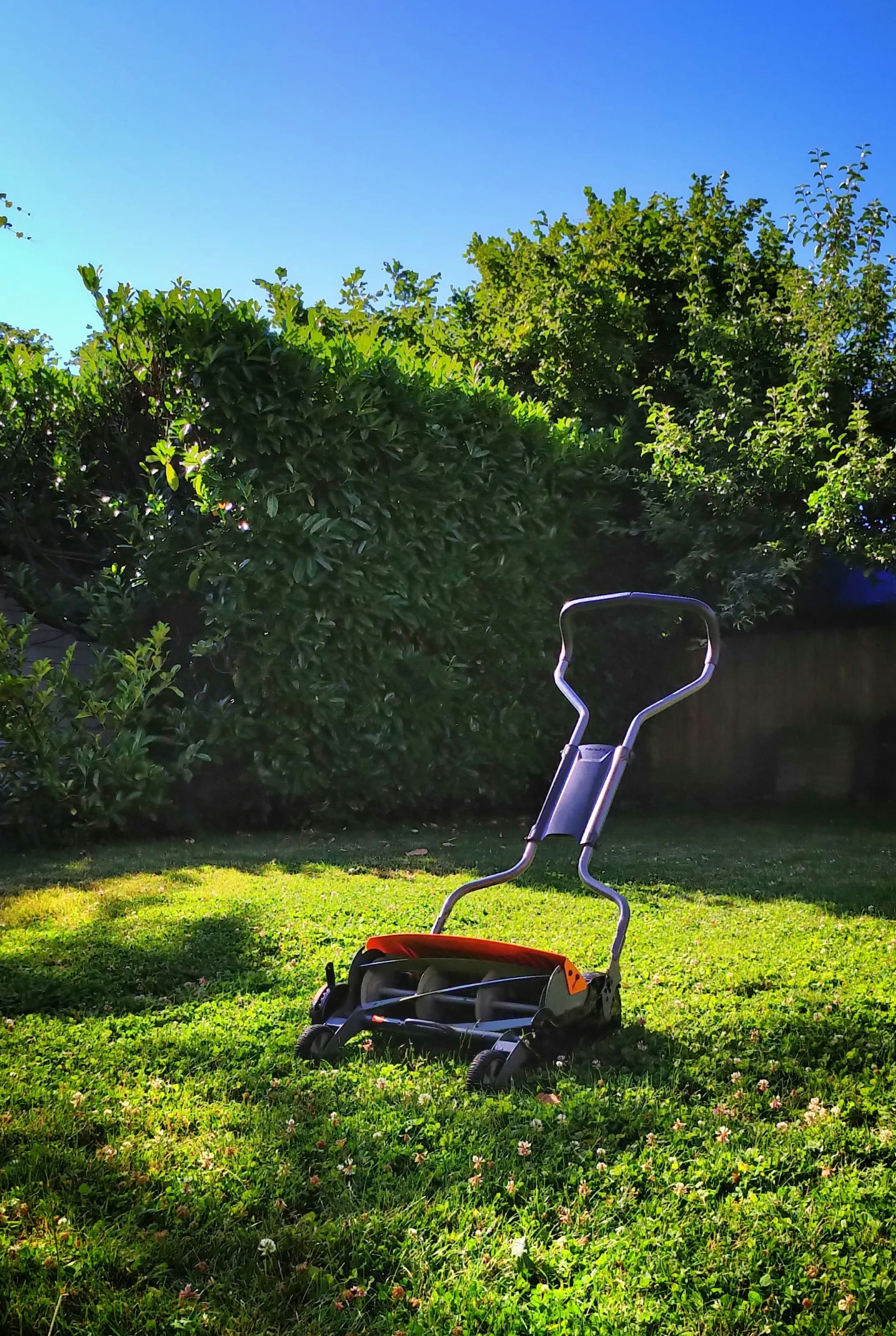 Lawn aeration service for compacted soil in Georgetown TX — Georgetown Lawn Pros