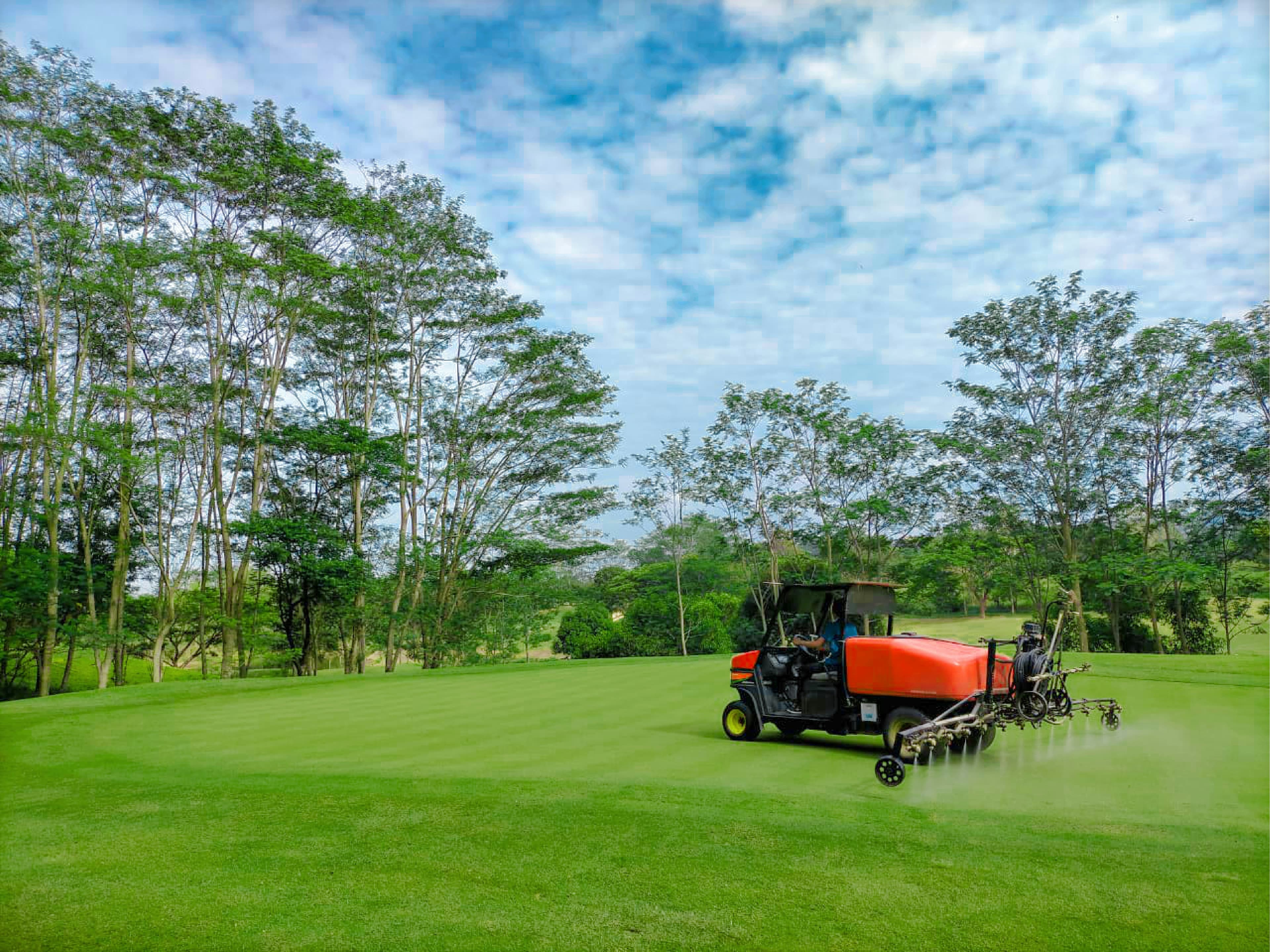 Lawn Fertilization Guide for Central Texas: Georgetown TX Edition — Georgetown Lawn Pros