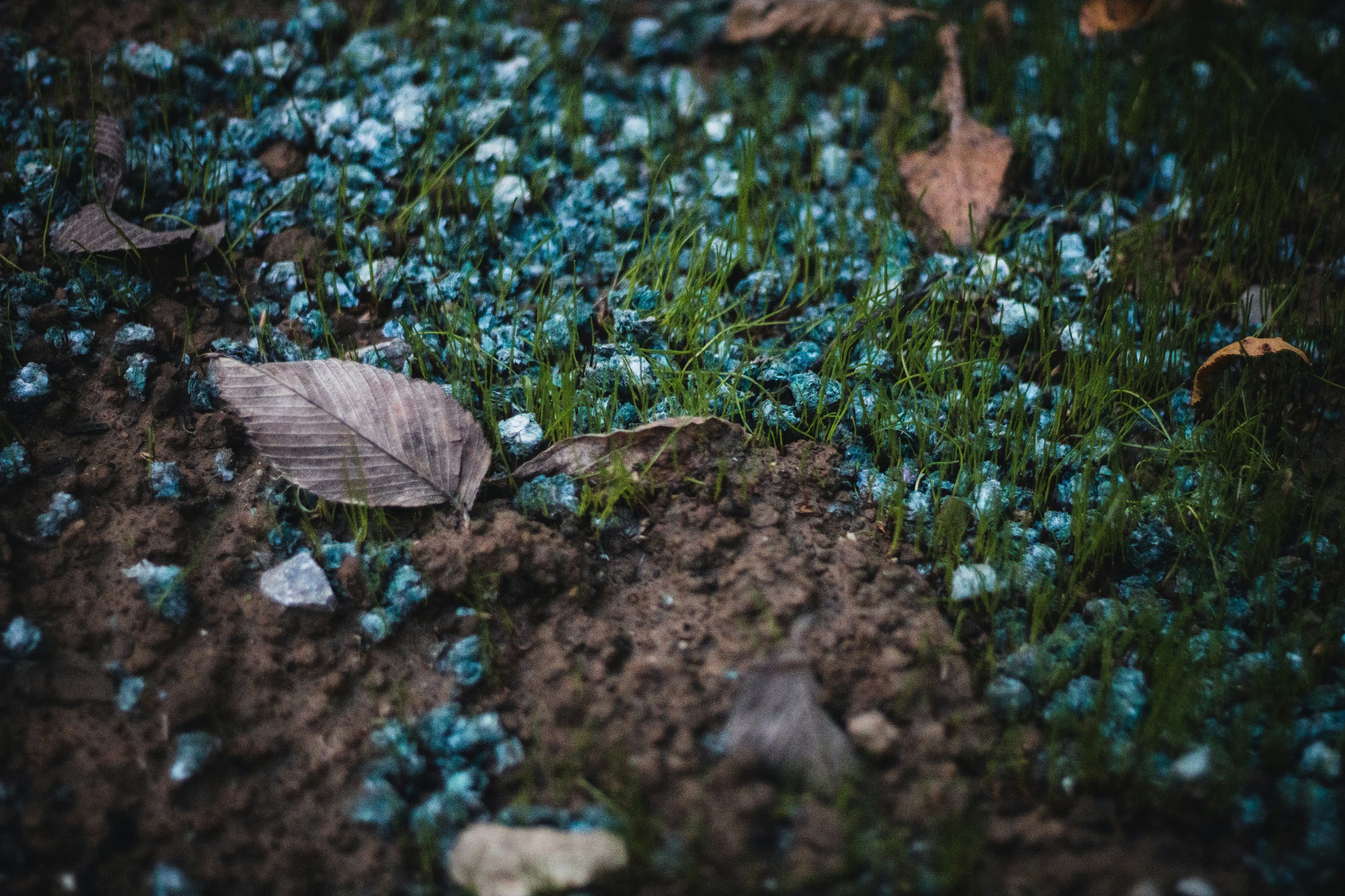 Lawn fertilization treatment on residential lawn Georgetown TX — Georgetown Lawn Pros