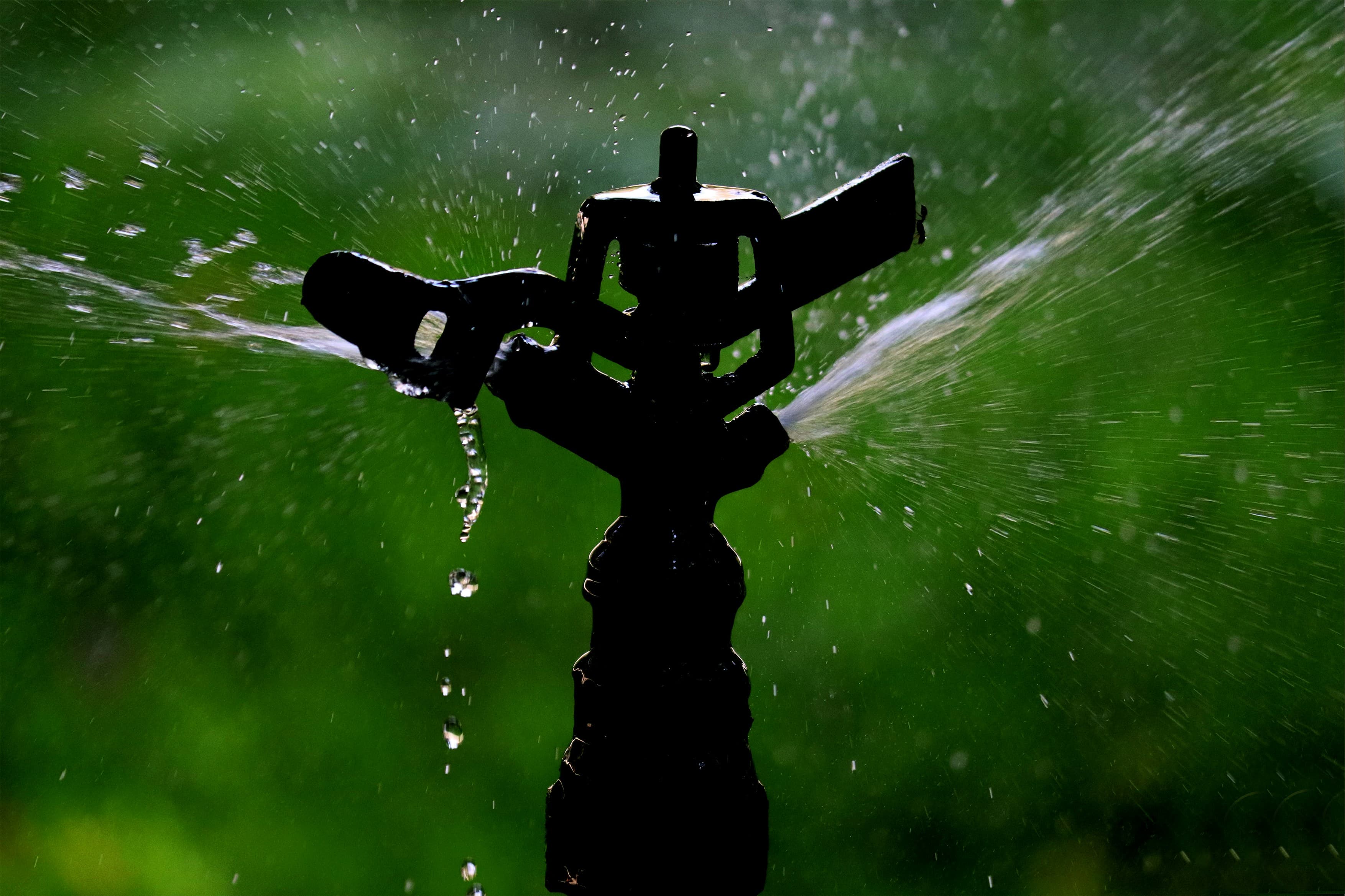 Georgetown TX Watering Restrictions: How to Keep Your Lawn Green Within the Rules — Georgetown Lawn Pros