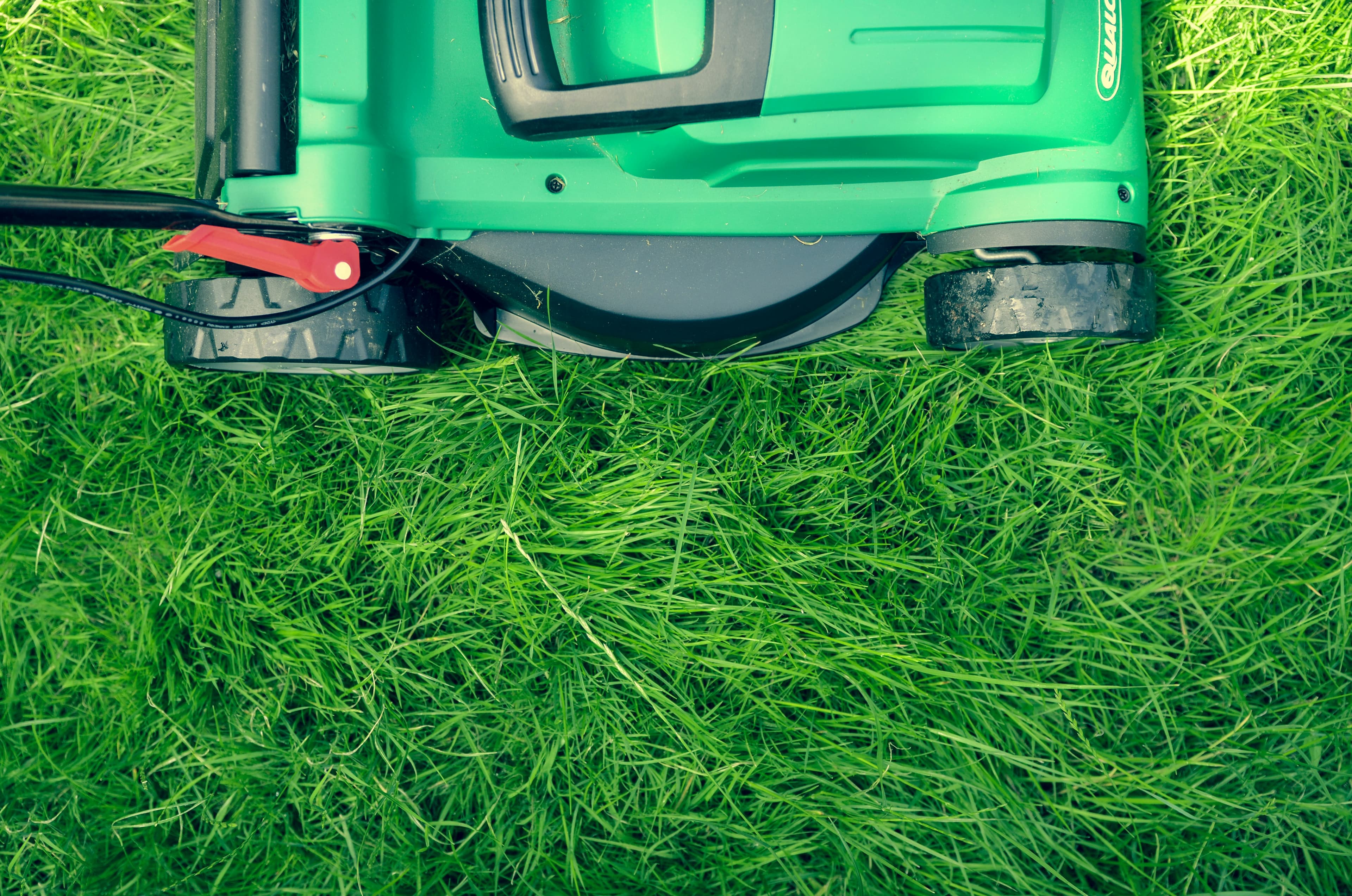 Professional lawn mowing service in Georgetown TX — Georgetown Lawn Pros