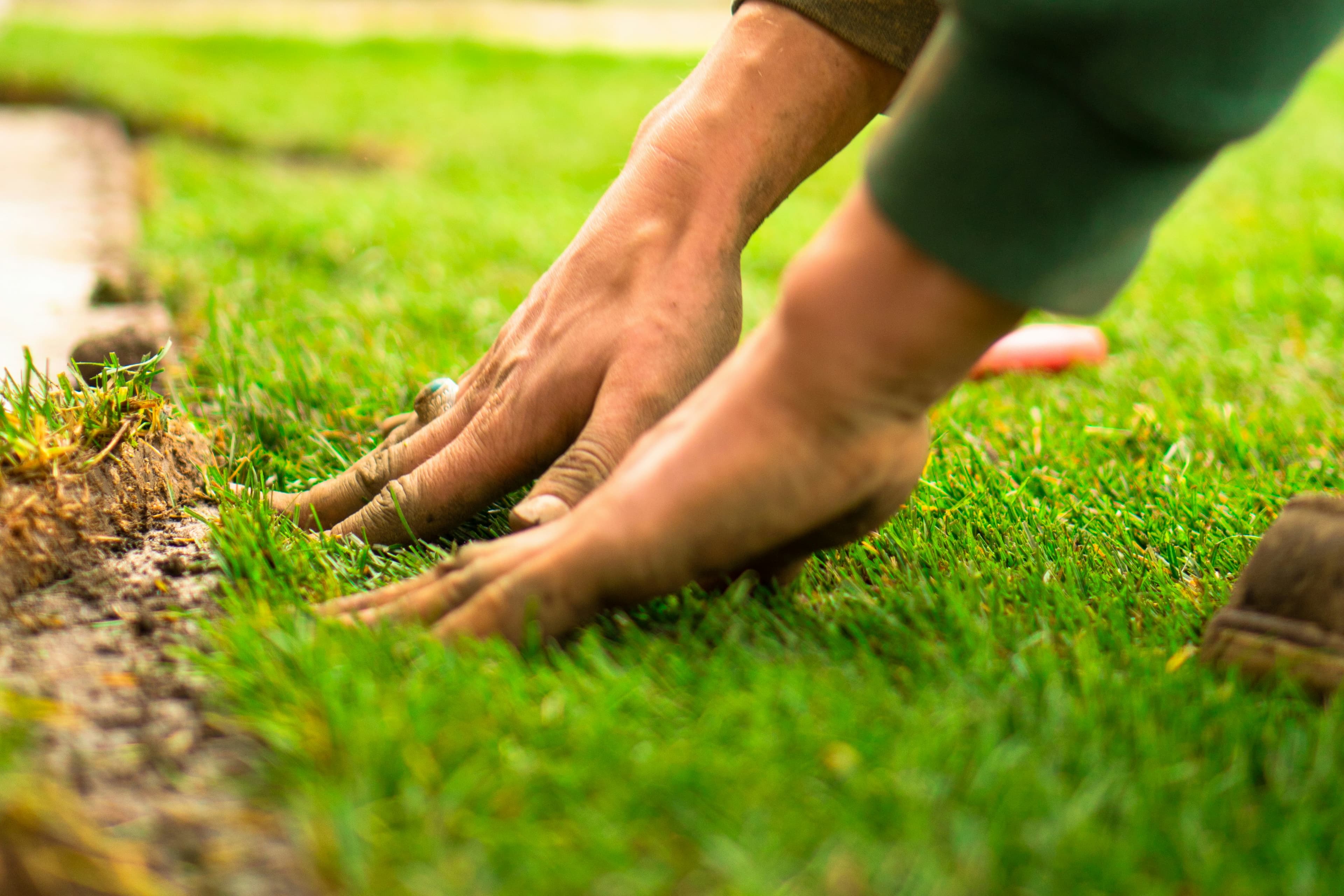 New Construction Lawn Care in Georgetown TX: What Nobody Tells You — Georgetown Lawn Pros