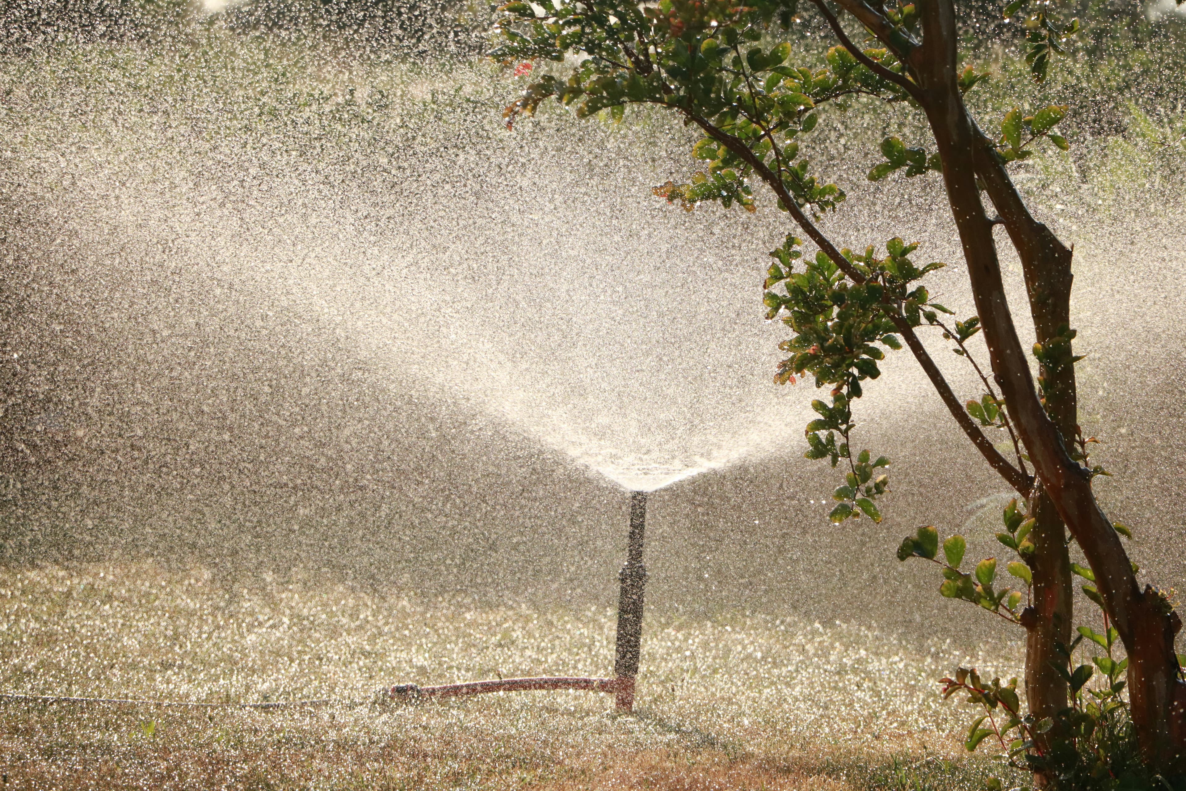 Sprinkler and irrigation repair service Georgetown TX — Georgetown Lawn Pros